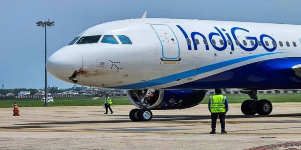 IndiGo to boost regional connectivity with new winter routes